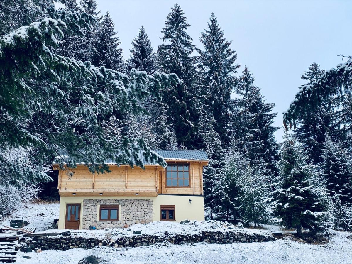 Magia Di Montagna Villa Zabljak  Exterior photo